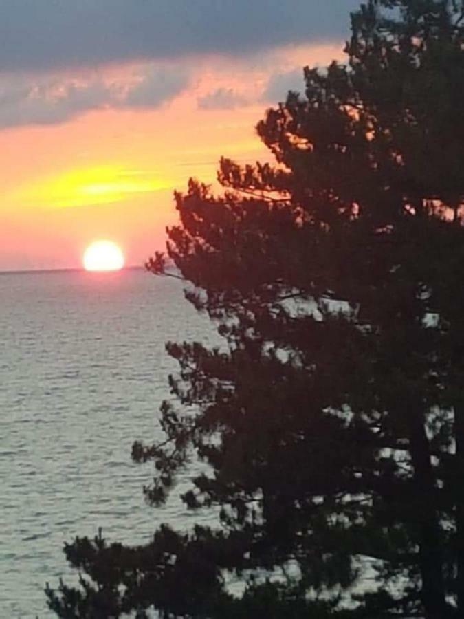 Hotel Gori Kobuleti Dış mekan fotoğraf